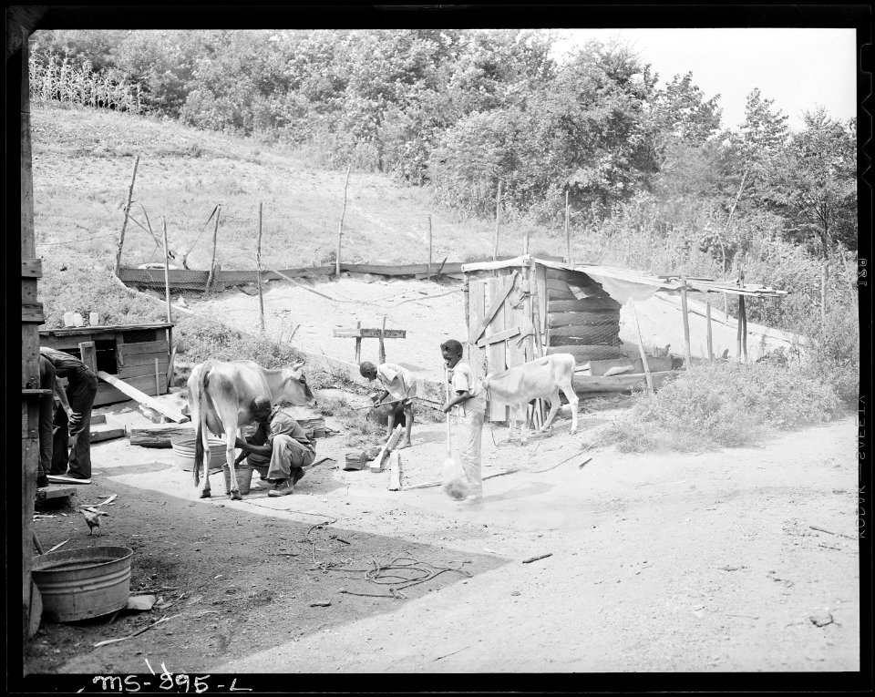Backyard of home of Butler Phillips, miner, who lives in company housing project. Adams, Rowe & Norman Inc., Porter... - NARA - 540597