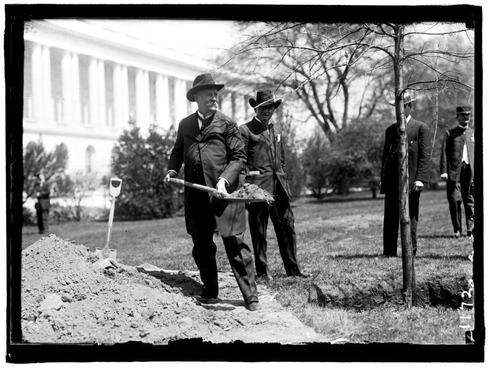 BACON, AUGUSTUS OCTAVIUS. SENATOR FROM GEORGIA, 1895-1914. LEFT, PLANTING TREE AT CAPITOL LCCN2016863714
