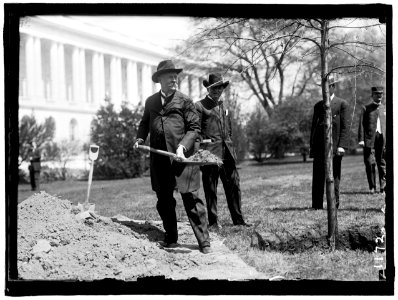 BACON, AUGUSTUS OCTAVIUS. SENATOR FROM GEORGIA, 1895-1914. LEFT, PLANTING TREE AT CAPITOL LCCN2016863714