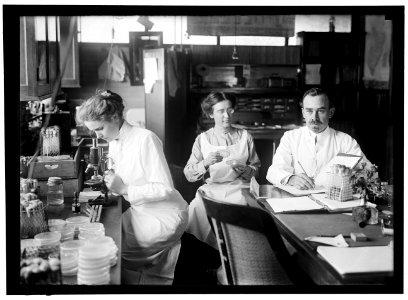 BACTERIOLOGY. DR. GEORGE STILES LCCN2016864093