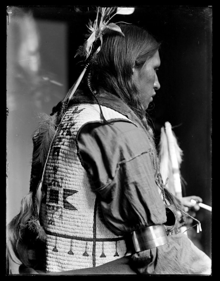 Bad Bear, American Indian LCCN2006691700