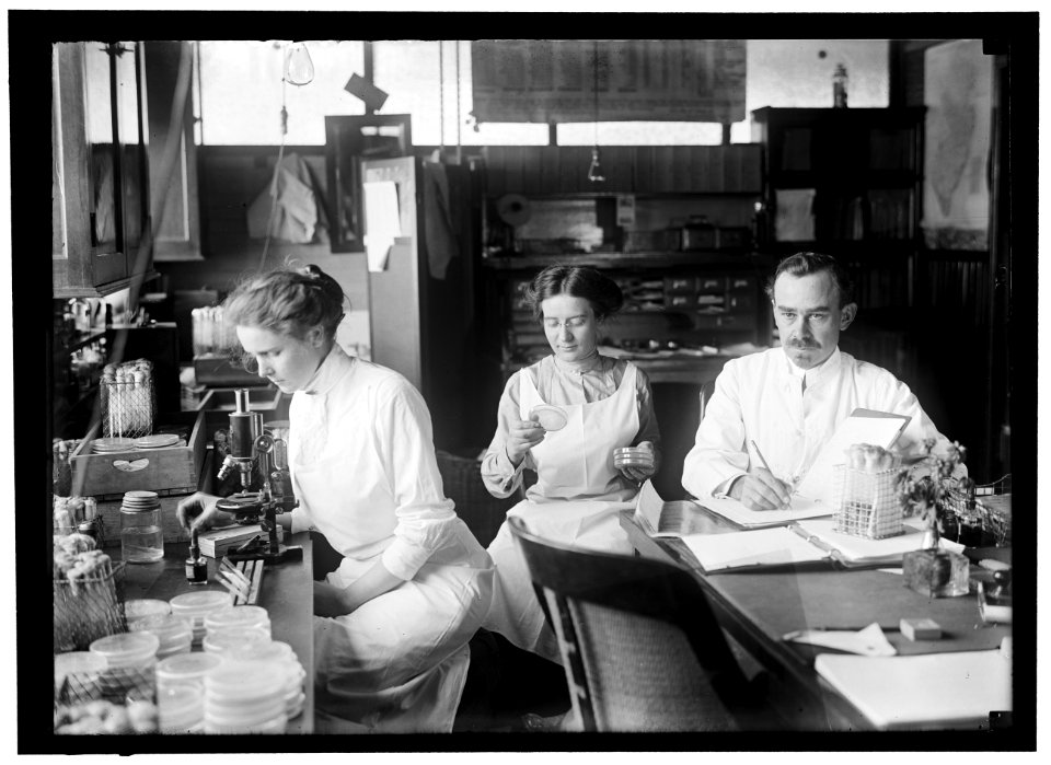 BACTERIOLOGY. DR. GEORGE STILES LCCN2016864092