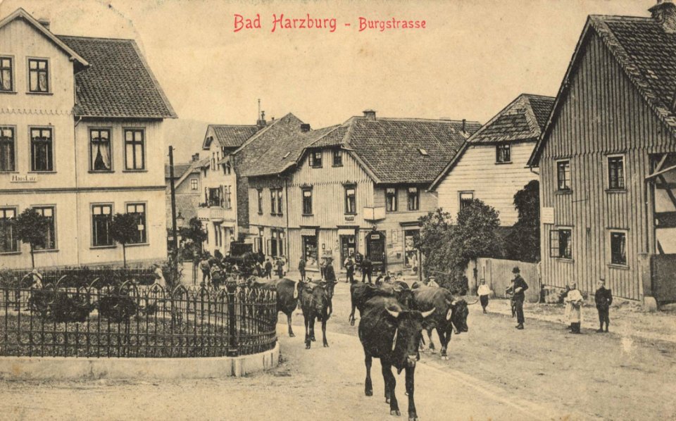 Bad Harzburg, Niedersachsen - Burgstraße (Zeno Ansichtskarten)