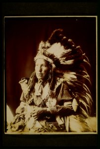 Bad Wound-Sioux LCCN2001700295