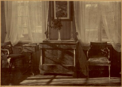 Bahdanaŭ, Ruščyc, Žoŭty salon. Багданаў, Рушчыц, Жоўты салён (J. Bułhak, 1911)