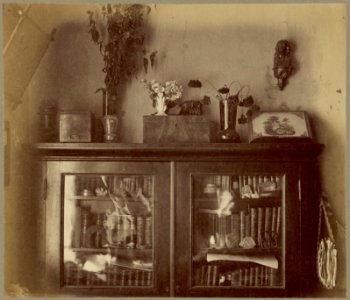 Bahdanaŭ, Ruščyc. Багданаў, Рушчыц (J. Bułhak, 1911) (6)