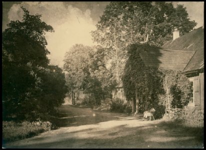 Bahdanaŭ, Ruščyc. Багданаў, Рушчыц (J. Bułhak, 1924)