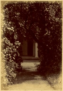 Bahdanaŭ, Ruščyc. Багданаў, Рушчыц (J. Bułhak, 1911) (8)