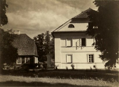 Bahdanaŭ, Ruščyc, Mur. Багданаў, Рушчыц, Мур (J. Bułhak, 1911) (3)