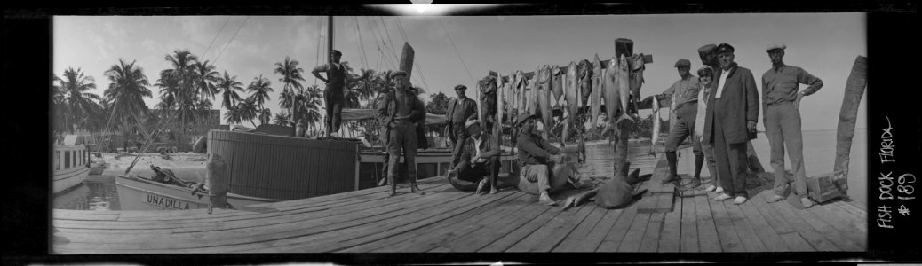 Bahamas, Bimini, fish dock with day's catch, fishermen LCCN2017656456
