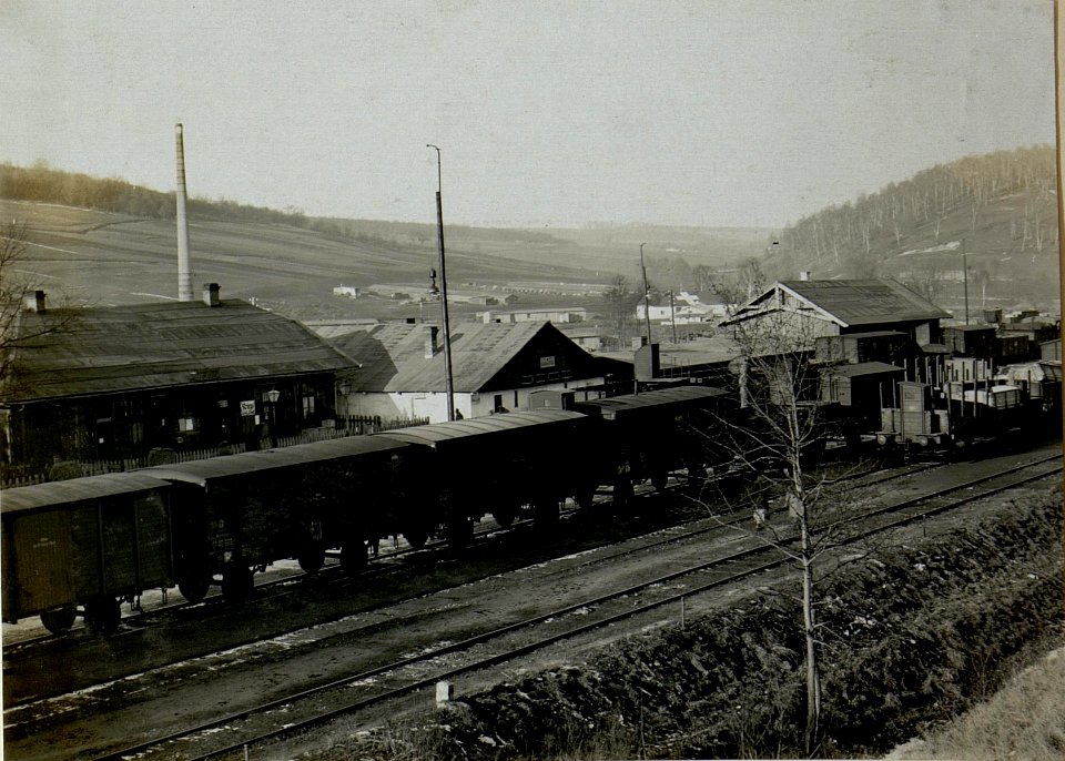 Bahnhof Podwiesoky. (BildID 15527863)