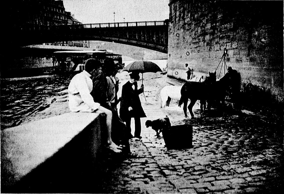 Baignade des chevaux au quai de la Rapée