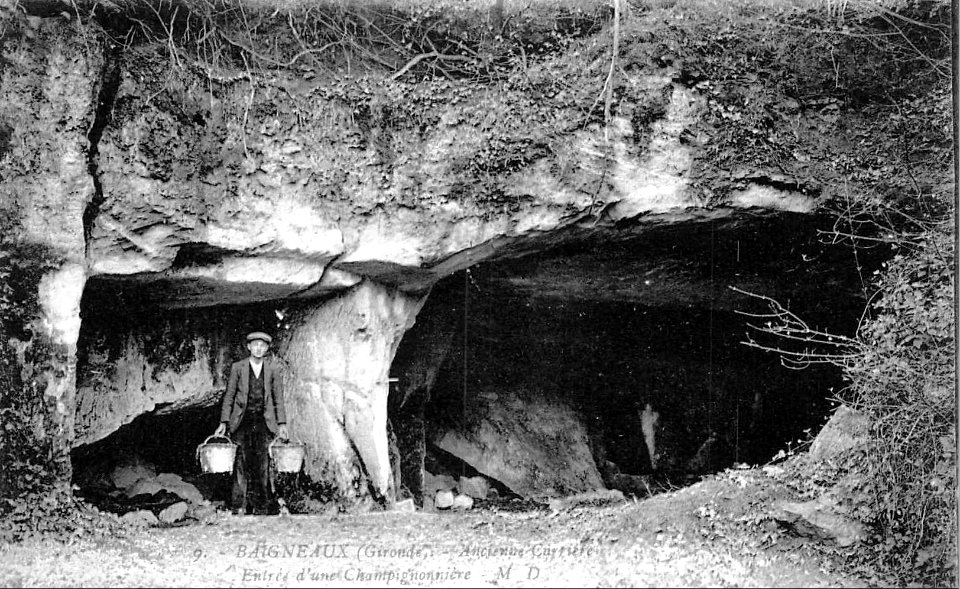 Baigneaux - ancienne carrière