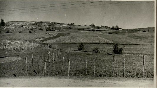 Bainski bei Czernowitz (BildID 15715869)