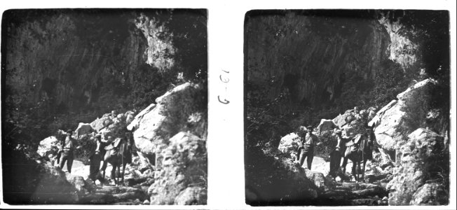 Baixant pel camí del Mont