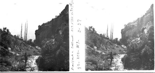 Baixant de Bellmunt