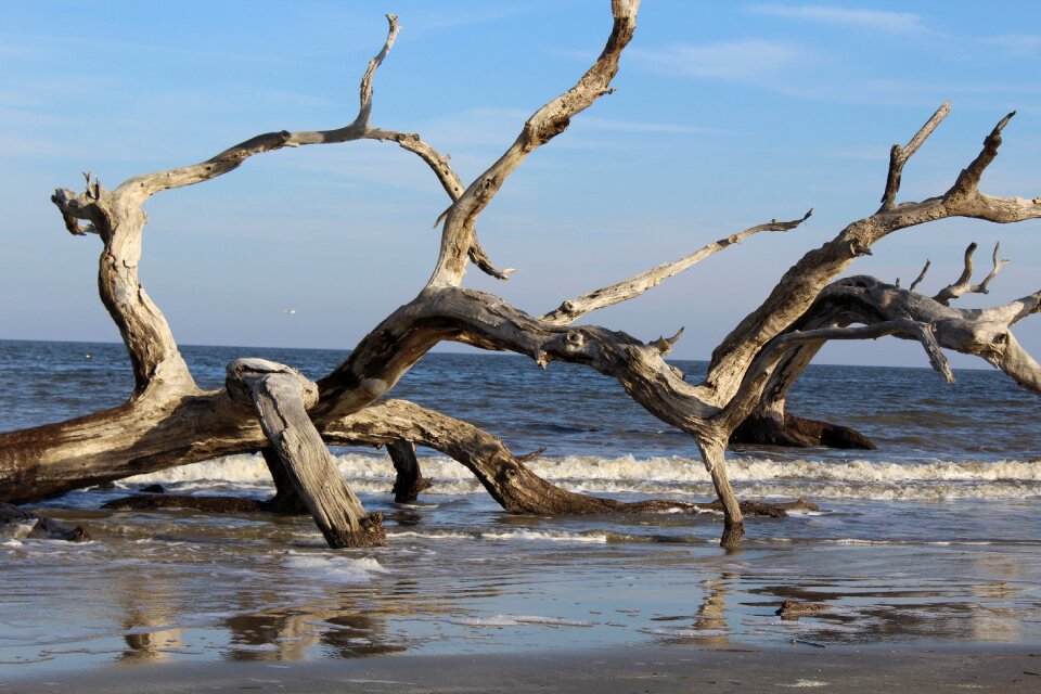 Natural coast weathered