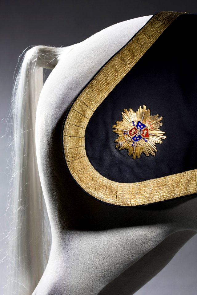 Bakre delen med emblem - Livrustkammaren - 86878