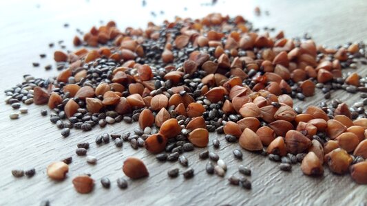Seeds grain chia photo
