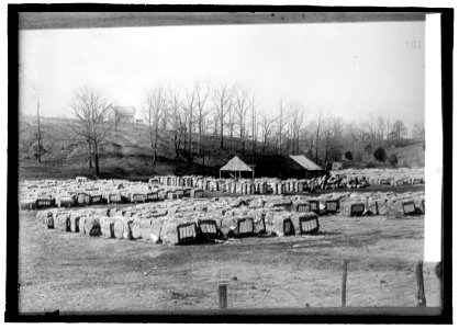 Baled cotton LCCN2016821097
