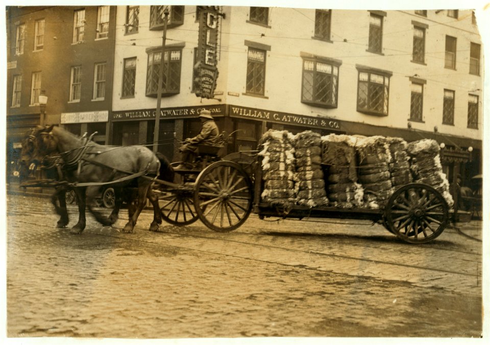 Bales of cotton going to the mill. LOC cph.3b10864