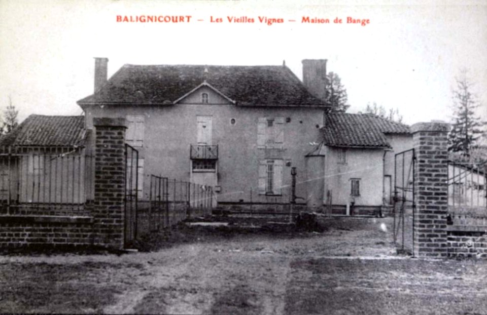 Balignicourt les vieilles vignes