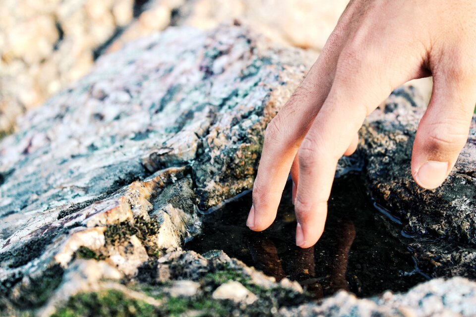 Reflection hand nature