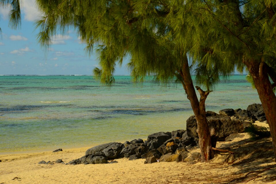 The coast sand nature