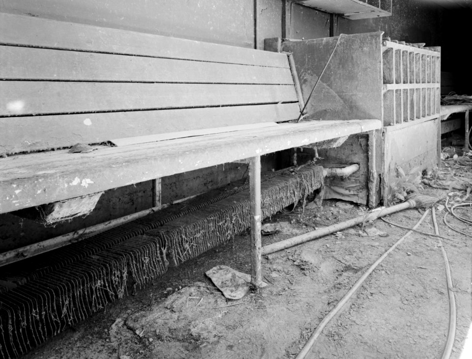 Baltimore Memorial Stadium abandoned 9