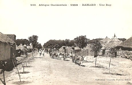 Bamako-Une rue (AOF) (1)