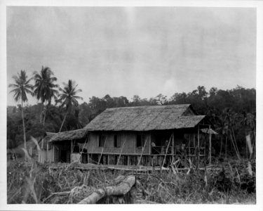 Bambuflätat hus i Motongkad. Norra Celebes. Kabupaten Bolaang Mongondow, Sulawesi. Indonesien - SMVK - 000262