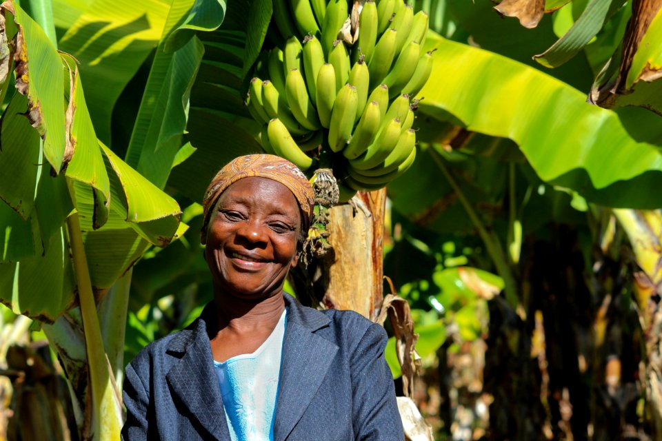 Banana farmer in Honde Valley, Zimbabwe (36938580232)