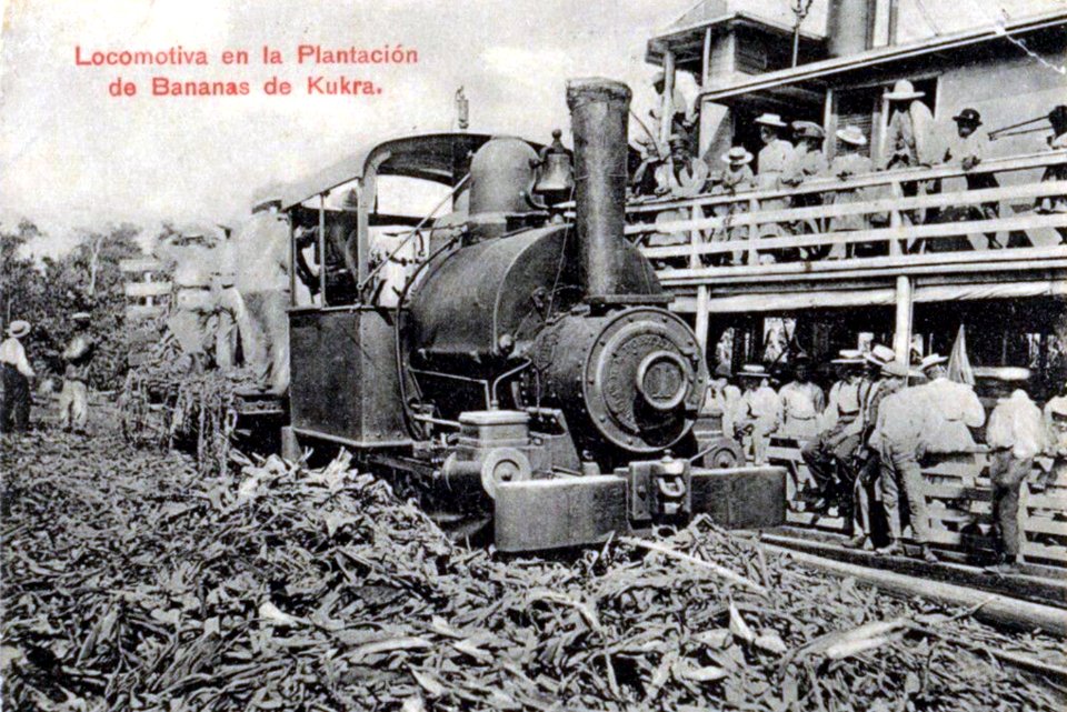 Banana plantation (48645522158)