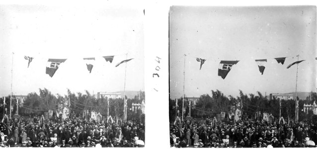 Banderes del cor del Turó de la Peira