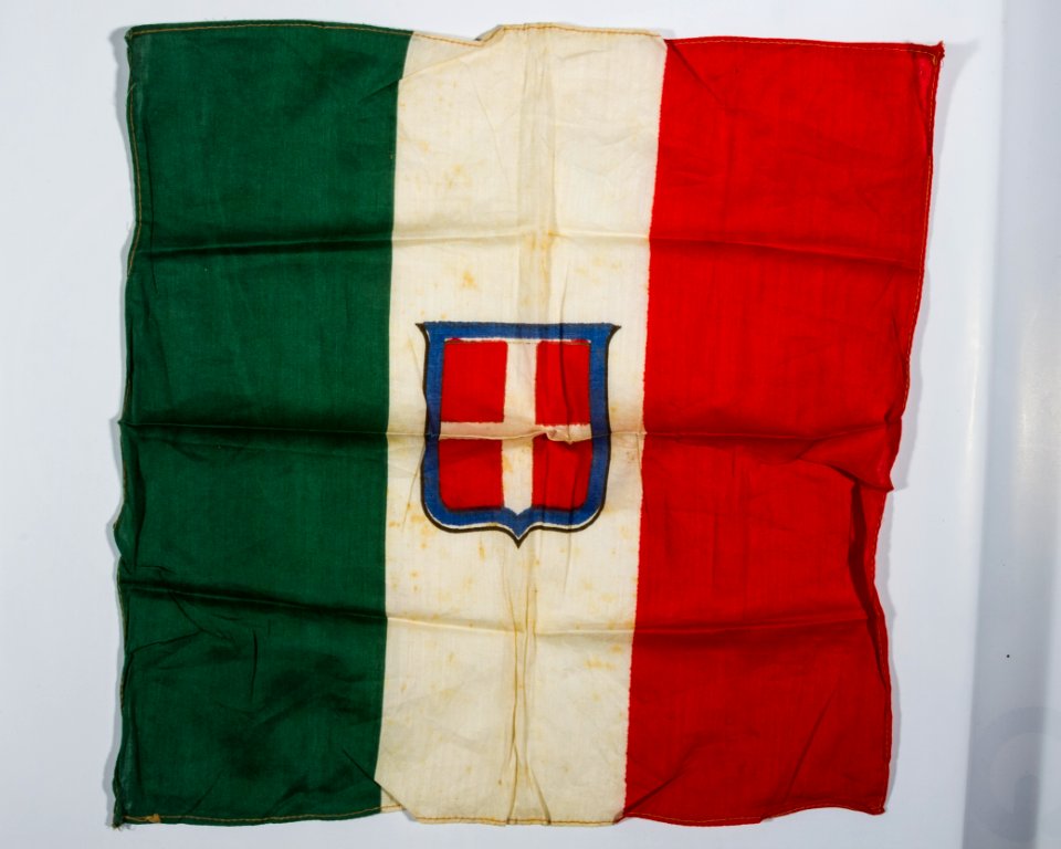 Bandiera italiana con in mezzo lo scudo di Savoia (croce bianca in campo rosso)