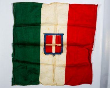 Bandiera italiana con in mezzo lo scudo di Savoia (croce bianca in campo rosso)