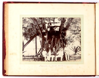 Banian du Cercle Militaire, 1887-1888
