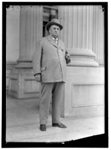 BANKHEAD, JOHN HOLLIS. REP. FROM ALABAMA, 1887-1907; SENATOR, 1907-1920. AT CONFEDERATE REUNION, D.C. LOC hec.08885