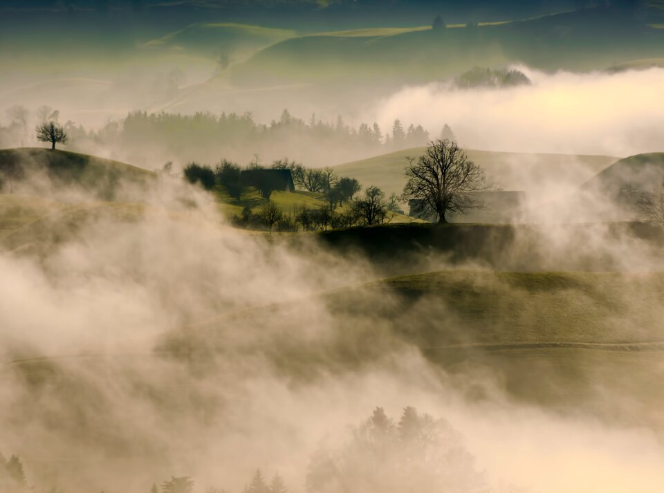 Plant nature view