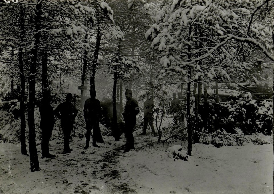 Baonskmdo.des I.R. 84, mit Stab, vor der Waldhütte an der Nida, im Anschluss an die Deutschen. (BildID 15539684)
