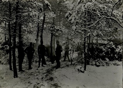 Baonskmdo.des I.R. 84, mit Stab, vor der Waldhütte an der Nida, im Anschluss an die Deutschen. (BildID 15539684)