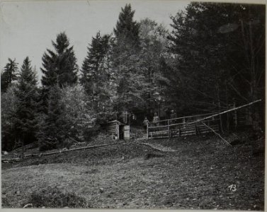 Baonskomdo in Stellung, J.R.93 Turawa Ost Galizien Sept.16 (BildID 15452976)