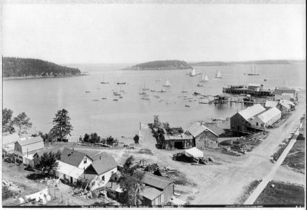 Bar Harbor from West End Hotel, Mt. Desert, Maine LCCN2005694919