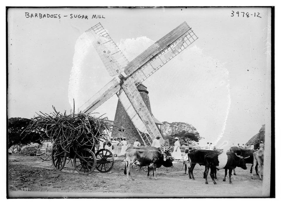 Barbadoes - sugar mill LCCN2014702750