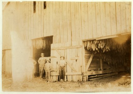 Barn of Daniel Barrett and group shown in photos 4464-5-6. LOC nclc.00512
