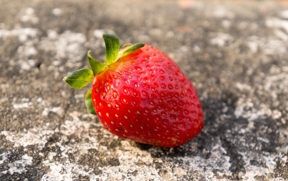 Strawberries dalat vietnam