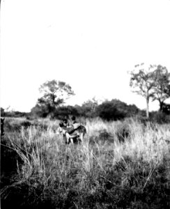 Barn vända hem från odlingen. Rio Pilcomayo, Gran Chaco. Bolivia - SMVK - 004736