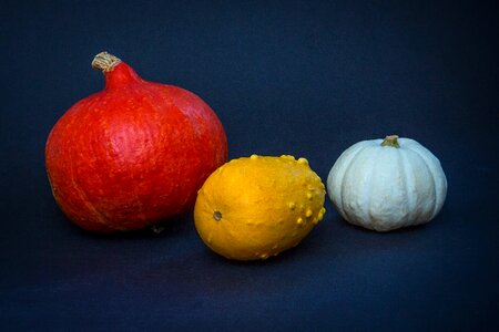 Autumn decoration gourd pumpkins photo