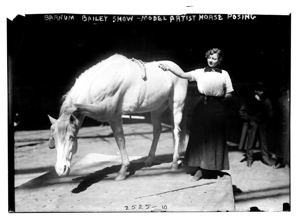Barnum-Bailey Show - Model Artist Horse Posing LCCN2014691050