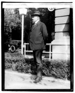 Baron Raymond de Waha LCCN2016828905